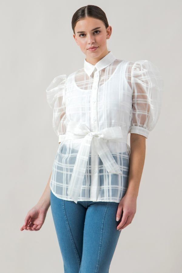 A See-thru Mini Length Organza Top - A&A Haute Spot