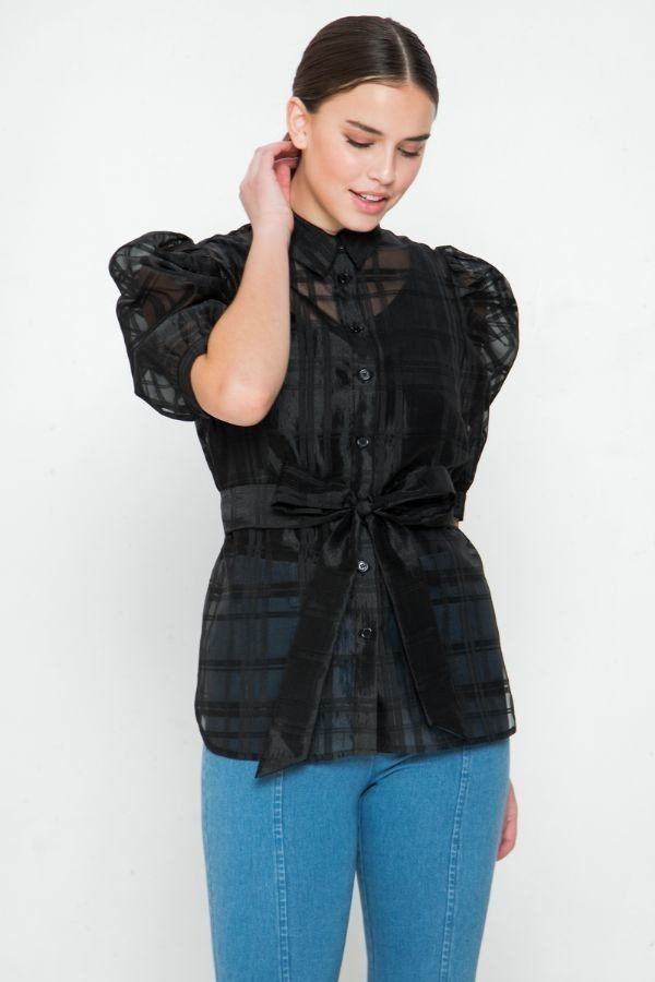 A See-thru Mini Length Organza Top - A&A Haute Spot