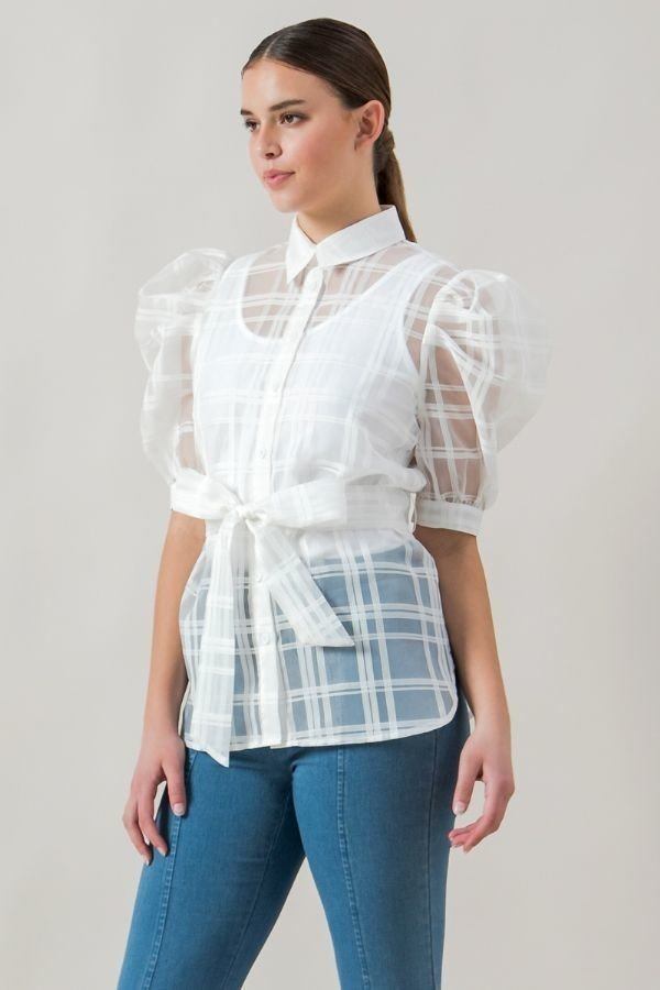 A See-thru Mini Length Organza Top - A&A Haute Spot