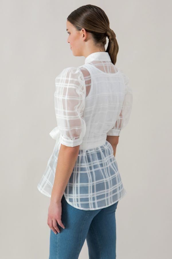 A See-thru Mini Length Organza Top - A&A Haute Spot