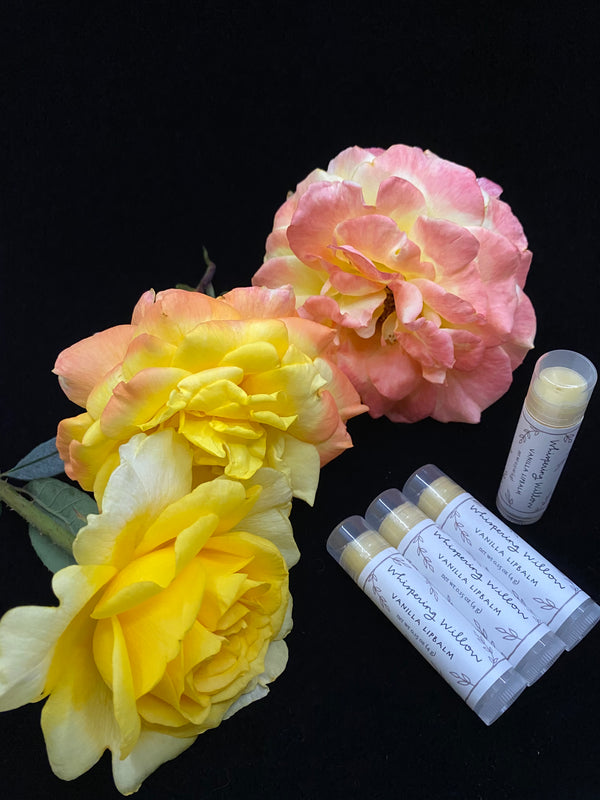 Vanilla Natural Lip Balm - A&A Haute Spot